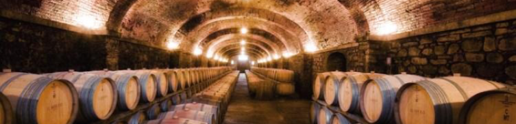Wine varieties in Italy | Leonardobansko
