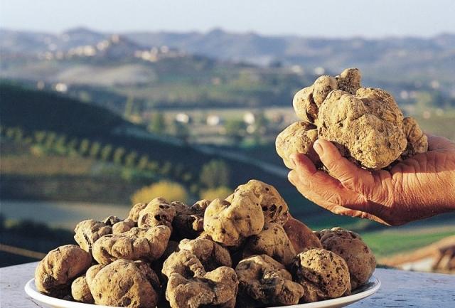 Italian truffles from Piedmont