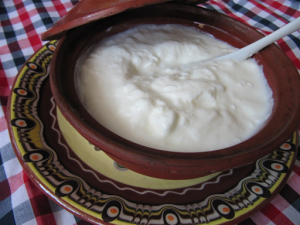 Rhodope cuisine with yogurt